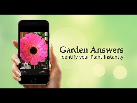 GardenAnswers Plant Identifier Video