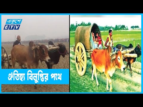 পল্লী এলাকার জনপ্রিয় বাহন ছিল গরুর গাড়ি