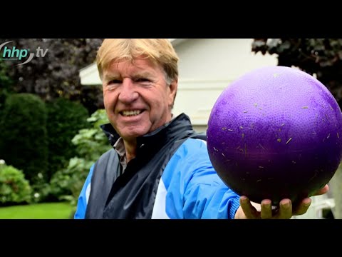 Der Fußballtrainer Aad De Mos über die Andullation