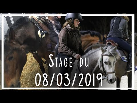 download lagu mp3 mp4 Centre Equestre Neuilly, download lagu Centre Equestre Neuilly gratis, unduh video klip Centre Equestre Neuilly