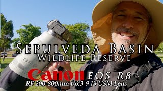 Canon EOS R8 & RF 200-800mm f/6.3-9 IS USM Lens on the -  first impressions..... and the...