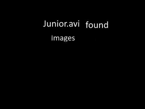 Junior.avi Found Images