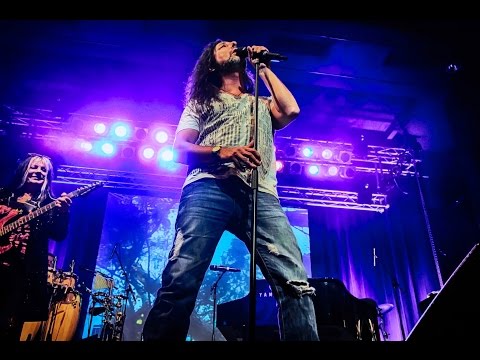 Ignore The Sign (Ex OSSSY) Wishing Well