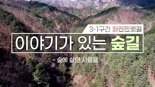 [#울진금강소나무숲길] 