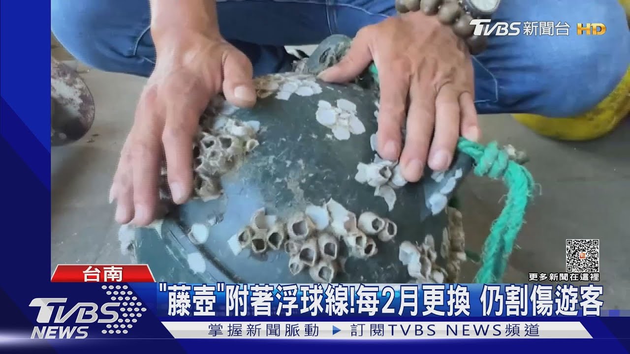 浮球藏危機！海中生物「藤壺」附著　如貝殼銳利割童腳