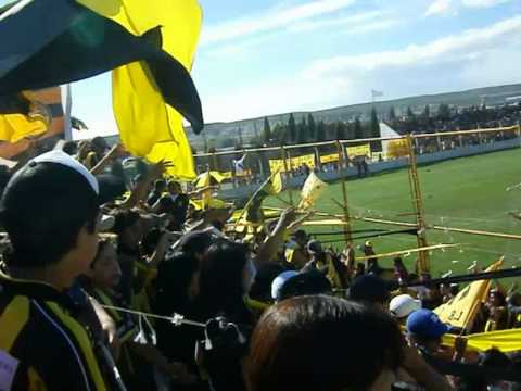 "Deportivo Madryn - La Incomparable...avi" Barra: La Incomparable &bull; Club: Deportivo Madryn