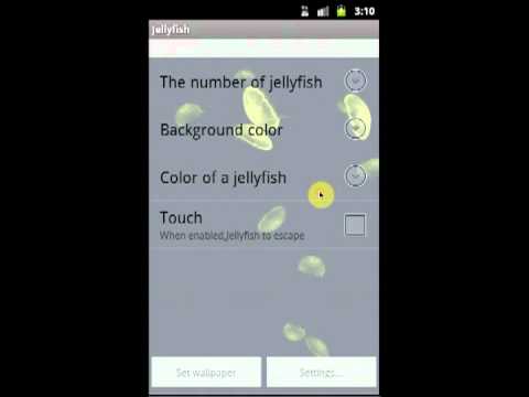 JellyFish(Free) Video
