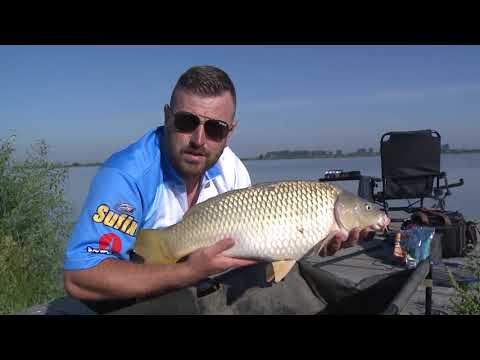 Crapii de la Sacosul Turcesc