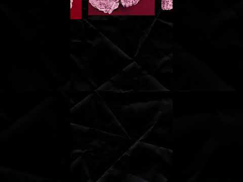 Zendaya Valentino Haute Couture! The goddess of beauty has arrived! #dress#fashion #zandaya