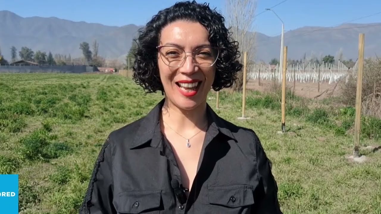 youtube video id=lryKhMeLn_U