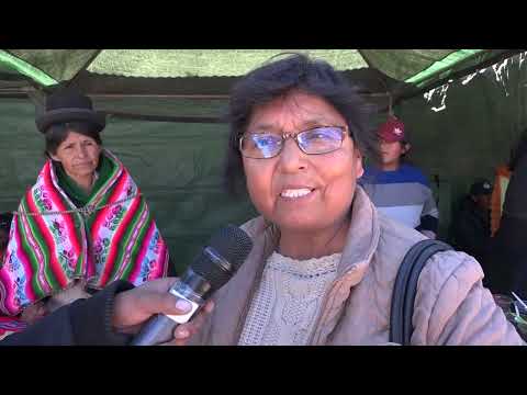 UPEA PRESENTE EN LA FERIA DE CAMELIDOS DE SAN ANDRES DE MACHACA