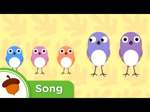 Hello Little Baby Sparrows | Original Kids Song from Treetop Family | Super Simple Songs