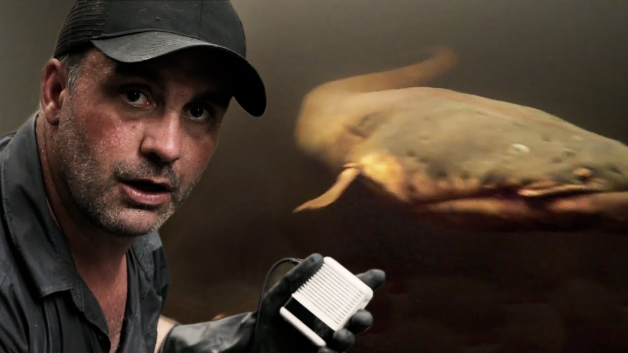 LE POISSON LE PLUS DANGEREUX DU MONDE  - Cyril Chauquet