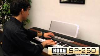 Video thumbnail for Korg SP250 Digital Piano Review by jimlaabsmusic