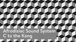 Afrodisiac Sound System - C to the Kang