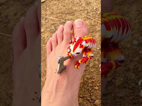 Monkey helps treat a foot wound caused by a tiny creature! 🐒🦶 #shorts #monkey #creature⁠
