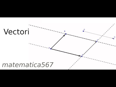 Vectori
