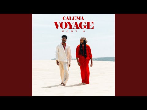 Video thumbnail for Te Amo (DJ Youcef Remix)