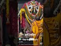 Jay Jagannath Status Video Odiabhajanstatus Bhajanshort Viralodiabhajan Odia