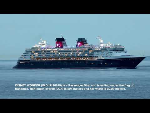 Thumbnail for The  Disney Wonder departs Port Phillip Heads at dusk. Seen at Point Lonsdale, Victoria, Australia.