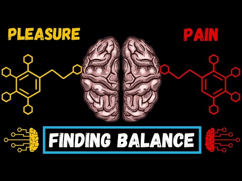 How to Balance Your Pleasure System - Dr. Andrew Huberman