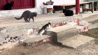 Winter preparations continue