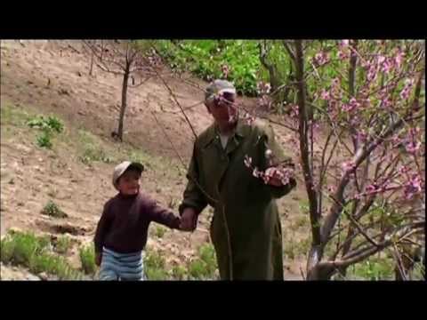 Disaster risk management Tajikistan