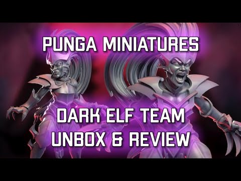 Dark Elf Team Kickstarter Unbox & Review  | Punga Miniatures (Bonehead Podcast)