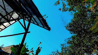 Download lagu CINEMATIC ALAM || Cinematic Alam Aesthetic || Story wa pagi Hari || Story wa 30 detik mp3