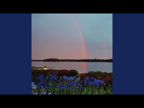 Video thumbnail for Valonpisaroita (Vain Elämää Kausi 9)