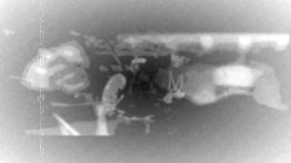 ugk-da game been good to me