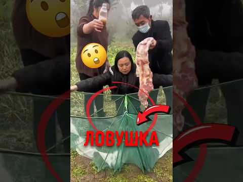 🐟 Рыба была не единственной добычей! #животные #природа #интересно