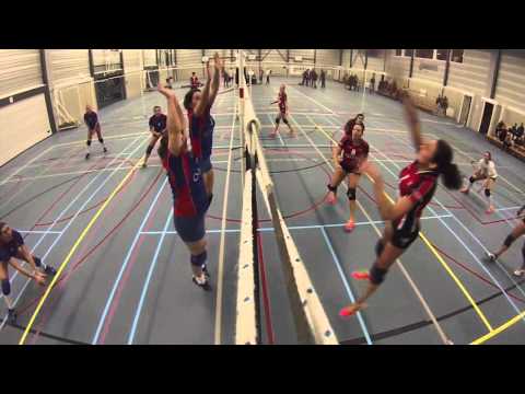 Leevoc D1 -  D.F.S. D1