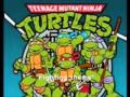 teenage mutant ninja turtles theme song 1987 