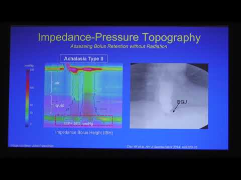 AFS Prakash Gyawali Chicago classification and beyond- what's new in 3D
