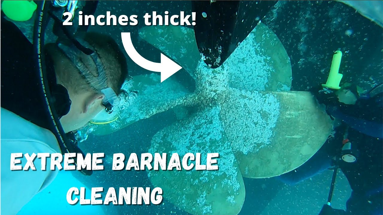 Busting Barnacles Off Our Propellers!