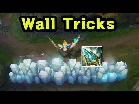 How the Best CN Anivia Hit Rank 1