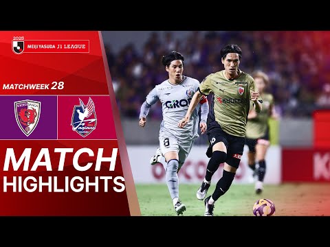 bg-highlight