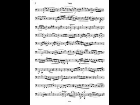 Concerto in One Movement - Alexej K. Lebedev