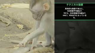 本日の投資注目TOP10【8/11 9:00】