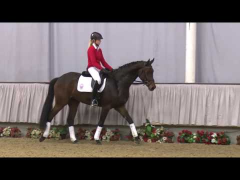 03 Rawella Stute v. Rock Forever I - Lauries Crusador xx - Upan la Jarthe AA