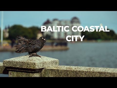 Baltic Sea City Walk | Urban & Seaside Vibes in 4K