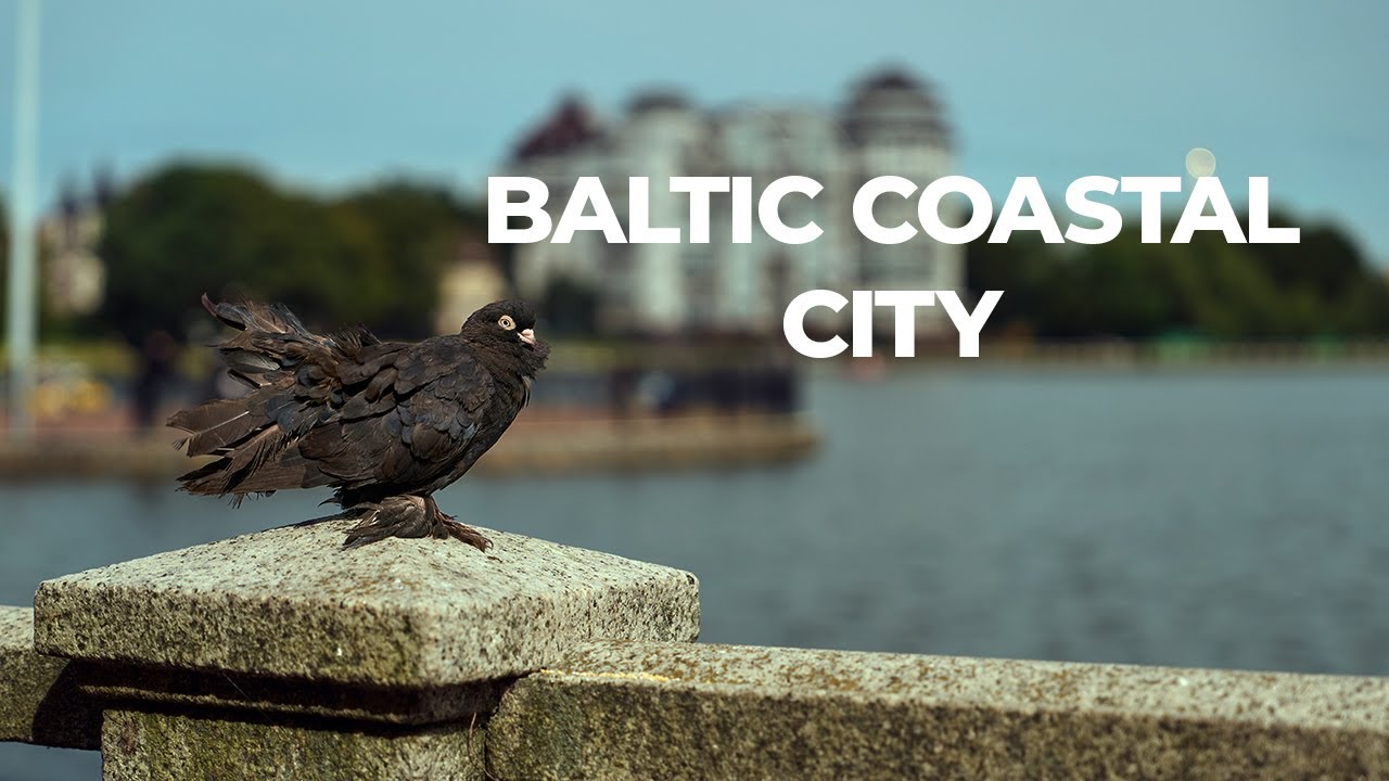 Baltic Sea City Walk | Urban & Seaside Vibes in 4K
