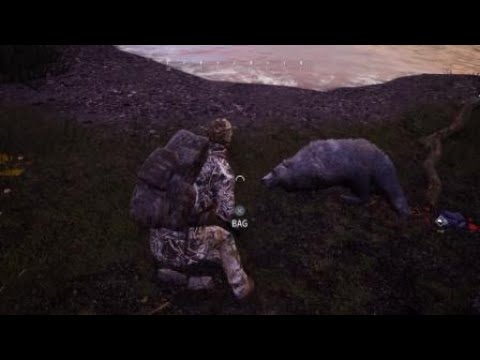 Hunting Simulator 2 Shooting and hunting A grizzly Bear
