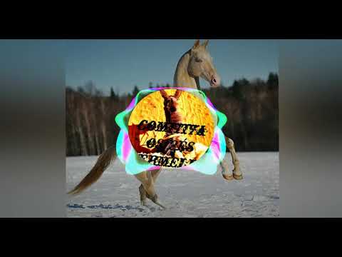 Fernando Bernardes e Conrado & Aleksandro - Old Paint "Poeira Branca"