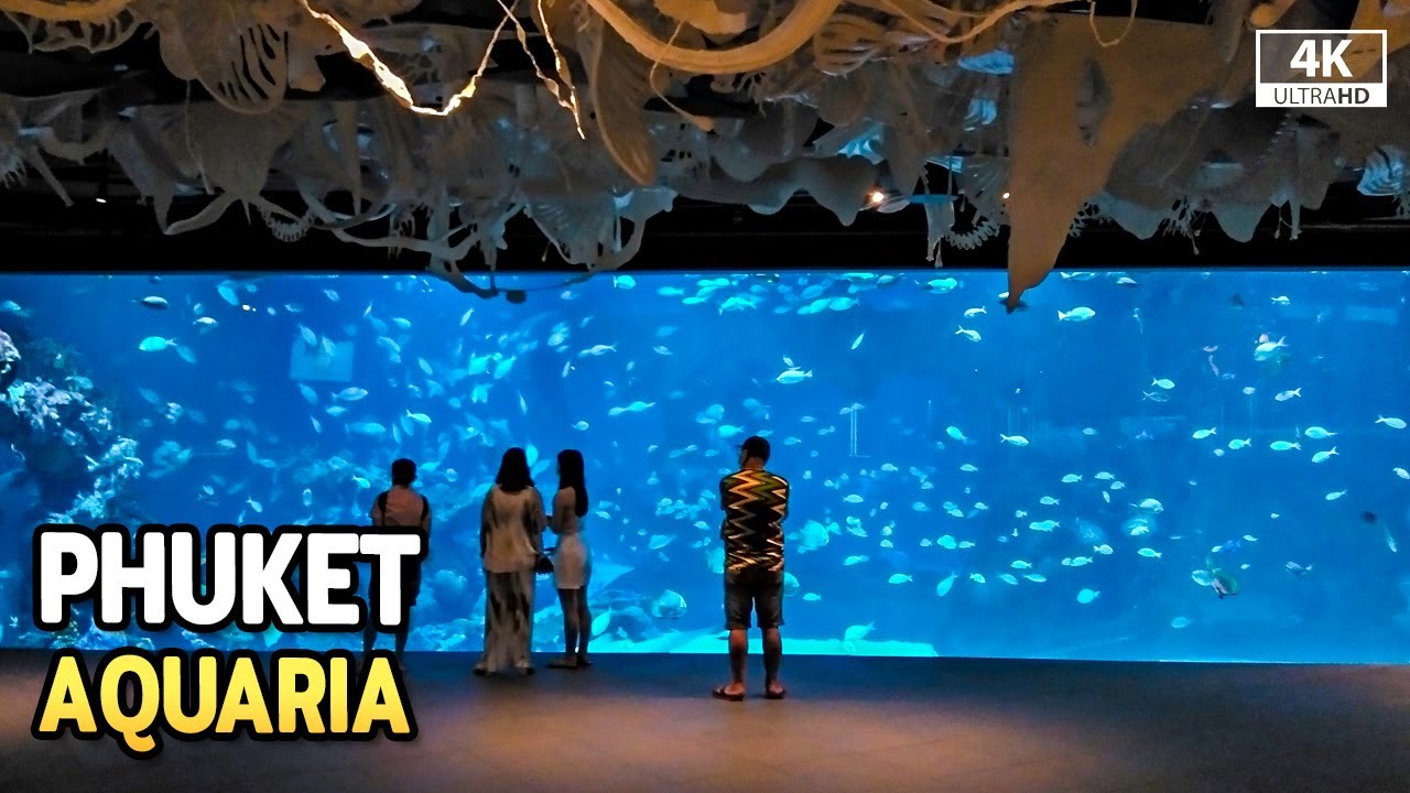 Embark on an enchanting walking tour of Aquaria Phuket.