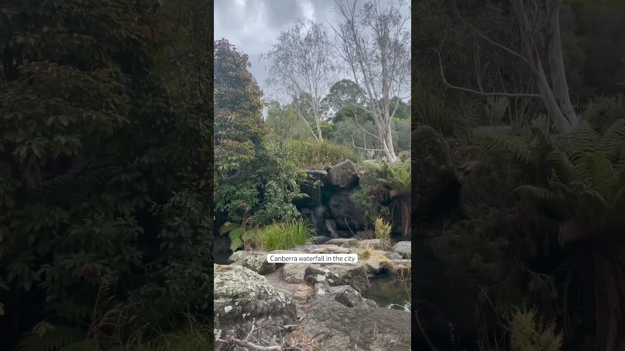 YouTube Short thumbnail