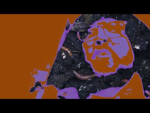 MICKEY NAPALM - Fluffer Nutter (Hip Hop/rap 2020)