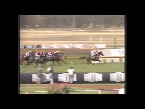 1991 BJC Bendigo Cup
