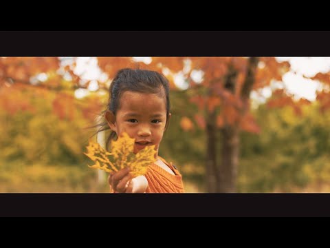 WHALE CITY - Someone Else's Eyes (Official Video)